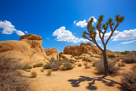 国家公园山谷沙漠编队土壤衬套公园地质学国家荒野峡谷太阳旅行图片