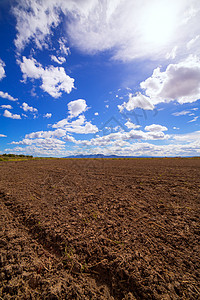 地中海收割后 谷物稻田被降为果实土壤销售种植园天空农村农场粮食培育植物收成图片
