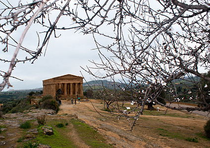 阿格里根托的康科迪亚寺庙废墟地标旅游旅行情绪景点纪念碑建筑博物馆假期历史图片