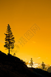 一棵树的轮光日落风景摄影山谷山脉寂寞地质学岩石场景图片