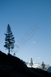 一棵树的轮光日落摄影山脉寂寞岩石风景山谷地质学场景图片
