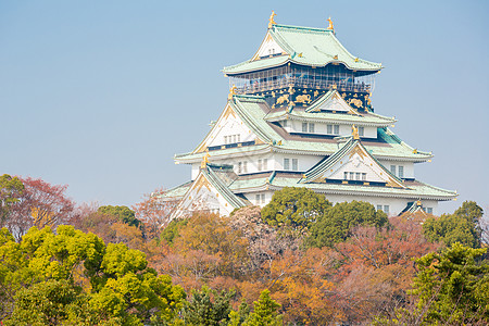 日本大阪城堡旅游吸引力历史建筑文化地标武士天空游客白色图片