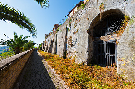 中世纪城文化考古学森林遗产历史性窗户城市地标建筑棕榈图片