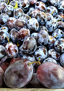 长着秋叶的公黄色饮食食物李子季节性季节市场蓝色水果小吃图片