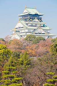 日本大阪城堡天空旅行观光遗产建筑学建筑武士吸引力旅游公园图片