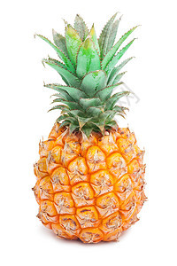 菠萝食物水果小吃热带饮食白色绿色凤梨甜点图片
