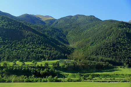 高加索绿色山脉风景绿色顶峰高度叶子首脑木头爬坡森林悬崖图片