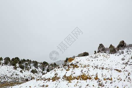 美国内华达州山中春雪假期山脉公园衬套悬崖顶峰旅行风景荒野远足图片