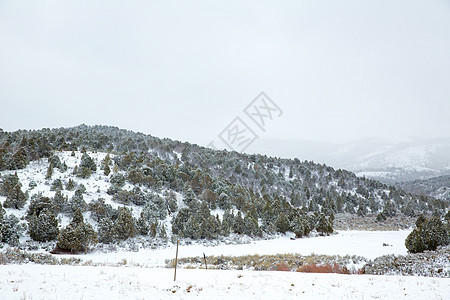 美国内华达州山中春雪山脉旅行公园远足假期风景高山地标崎岖岩石图片