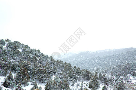 美国内华达州山中春雪顶峰岩石首脑远足悬崖风景山脉假期地标荒野图片
