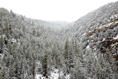 美国内华达州山中春雪假期旅行公园荒野顶峰高山天空风景树木崎岖图片