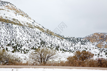 美国内华达州山中春雪风景旅行首脑高山衬套公园荒野顶峰假期山脉图片