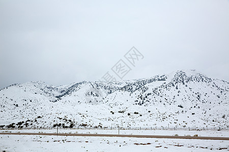 美国内华达州山中春雪远足高山天空公园树木旅行衬套荒野假期山脉图片