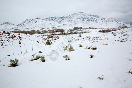 美国内华达州山中春雪荒野岩石风景衬套高山地标悬崖假期旅行首脑图片