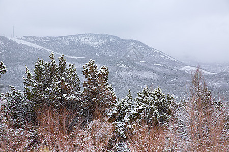 美国内华达州山中春雪悬崖首脑顶峰旅行风景崎岖地标山脉假期树木图片
