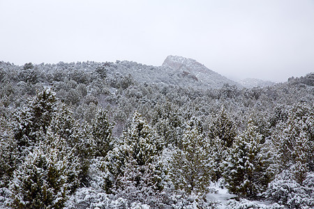 美国内华达州山中春雪衬套公园高山岩石天空荒野假期山脉旅行首脑图片