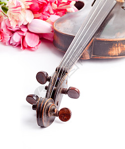 黑色旧小提琴民间细绳艺术海报文化花朵中提琴粉色白色木头背景图片