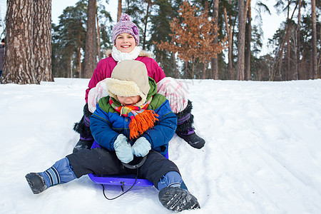 儿童在雪雪地上骑着雪橇婴儿男生姐姐时间青年幸福女孩团体季节松树图片