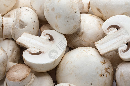 香农蘑菇营养食物烹饪蘑菇白色图片