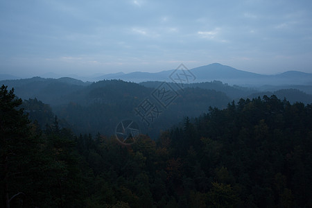 森林插画树木和山脉与云彩相对抗区系太阳环境叶子天空场景植物生长自由蓝色背景