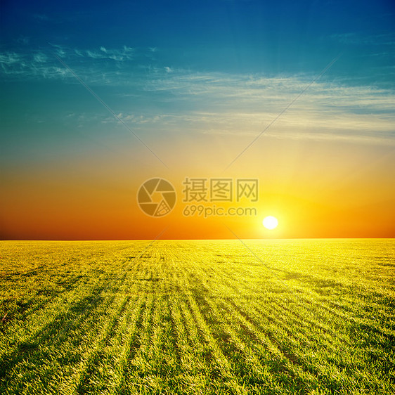 绿地上好日落晴天蓝色国家云景天气环境植物土地季节草原图片
