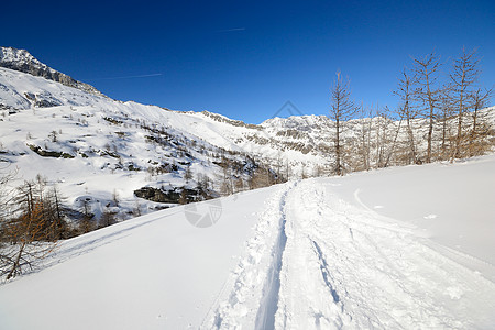 通过巡游滑雪探索阿尔卑斯山荒野地区天空极限山峰全景极端冰川逆境运动图片