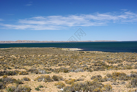巴塔哥尼亚湖池塘全景荒野乡村衬套高原沙漠农村草原干旱图片