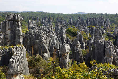 中国云南昆明史林石岩森林旅游士林地球石头游客假期运动编队石峰吸引力图片