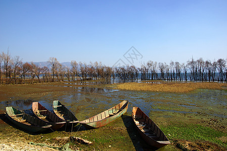 中国云南省达利埃海尔湖捕鱼者天空蓝色独木舟镜子爬坡平衡传统渔夫风景食物图片