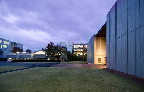 武信野艺术大学图片