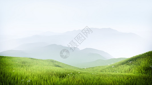 山山脉荒野高地高山阴霾花朵草地乡村图片