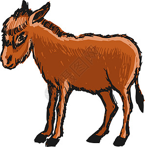 驴子手绘哺乳动物屁股卡通片音乐家插图农场草图骡子图片