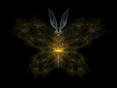 数字蝴蝶宏观装饰品翅膀森林野生动物数学创造力昆虫学几何学航班图片