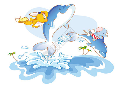 与海豚一起游泳的动物图片
