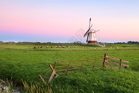 日出时白色荷兰风车图片