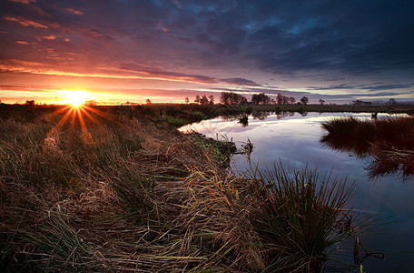 日出时在沼泽上空的太阳光束图片
