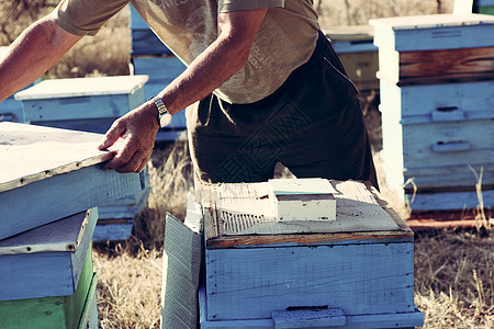 保管人细胞女王权威荒野花粉蜂蜡养蜂人六边形昆虫保健图片