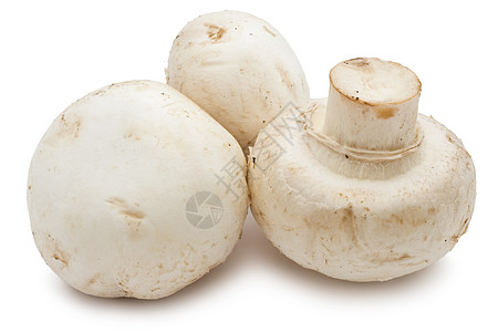 香农蘑菇蔬菜美食食物白色营养团体茶点宏观图片