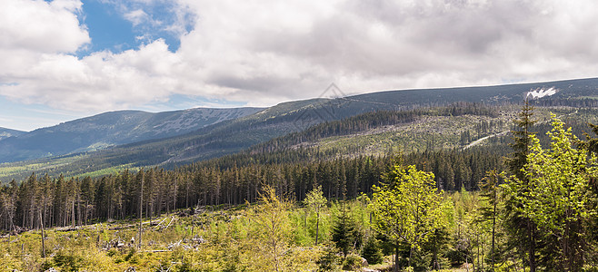 Karkonosze山脉全景岩石旅行石头绿色山腰风景森林环境天空顶峰图片