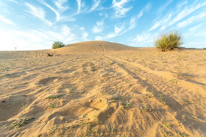 干旱地区灰尘场景植物旅行天空蓝色旅游沙漠图片