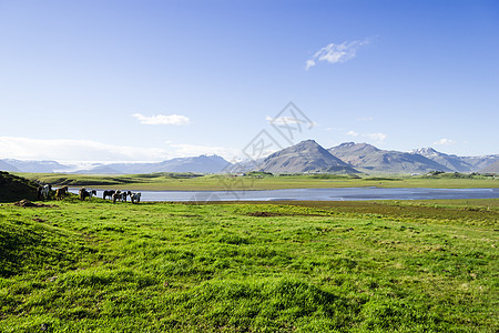 美丽的湖在山地背景之下 冰岛 夏天好乡村场地火山草原岩石农村全景场景花朵天空图片