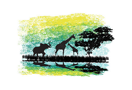 非洲狩猎组织非洲野生动物在水中反射的休游热带鸟类植物艺术场地天空荒野衬套土地插图图片