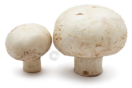 香农蘑菇营养宏观蔬菜团体白色健康美食图片