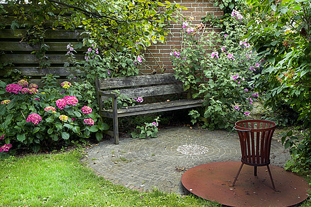 带长椅和花板的乡村式花园杂草生长乐趣种植绿色粉色院子夏园植物荒野图片