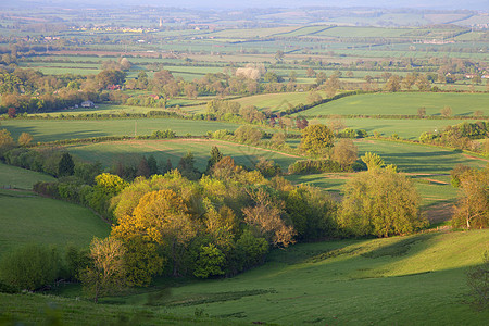 英格兰 牧农农村阳光风景旅行丘陵季节场地农田农场场景英语图片