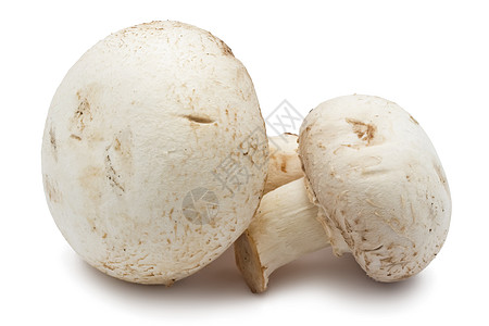 香农蘑菇食物团体茶点蘑菇白色蔬菜美食宏观营养图片