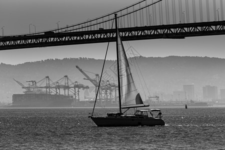 来自加利福尼亚州7号码头的旧金山湾桥帆船海洋血管航行假期天际天空建筑学旅行地标景观图片