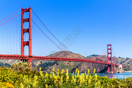 金门金门桥 旧金山大桥 来自加利福尼亚州普里西迪奥天际旅游市中心要塞城市建筑学建筑物蓝色假期天空图片