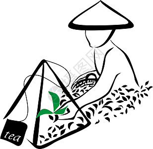 茶叶收获标志草地生长场地环境叶子花园旅游植物爬坡文化图片