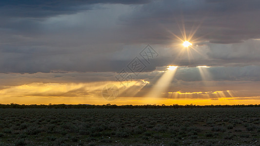 Etosha国家公园在日落的景象荒野环境全景沙漠生态旅游游戏天空纳米布大草原橙子图片
